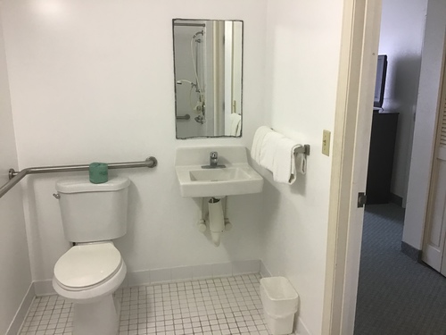 Picture of toilet and sink  in roll-in shower