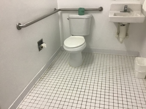 Toilet in disability access room